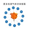 工业防爆可燃气体报警器天然气油漆泄漏探测器有毒有害浓度检测仪图片