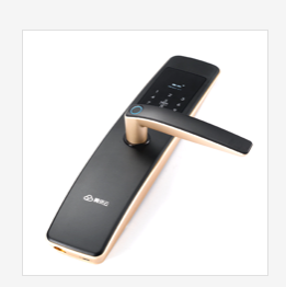 新一代智慧门锁 Q7 Pro 土豪金+黑灰色图片