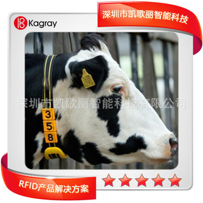 RFID牲畜管理動物耳標大型畜牧業管理