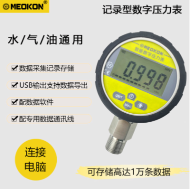 MD-S280C记录型数字压力表图片