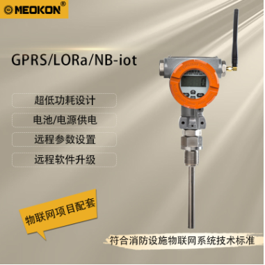 MD-T270G无线数字温度表图片