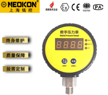 MD-S380数显压力表图片