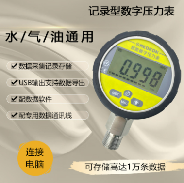 MD-S280C记录型数字压力表图片