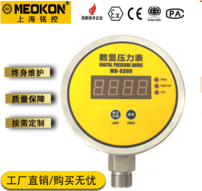 MD-S300E 数字压力表图片