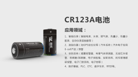 CR123A 1600mAh 3V鋰錳柱式電池/一次鋰電池