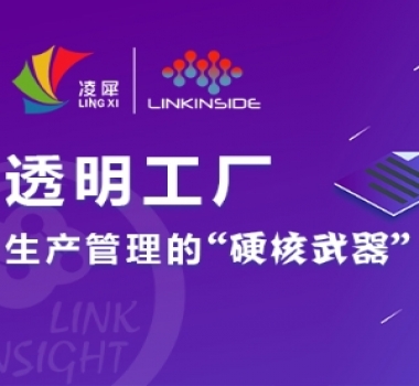 凌犀LinkInSight 透明工厂系统图片