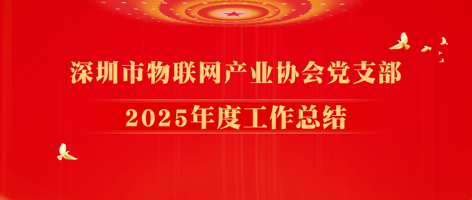 深圳市物联网产业协会党支部2025年度工作总结