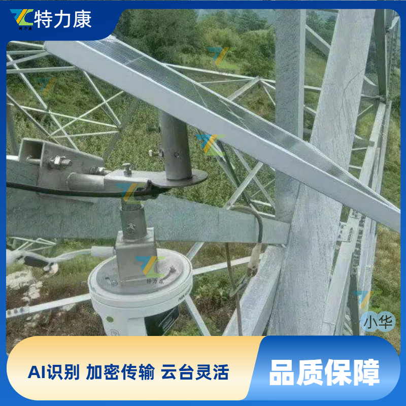 架空输电线路图像视频监测装置 (AI球机) 智能可视化微云台巡检装置图片