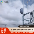 电力气象多要素智能监测设备-输电线路气象灾害预警装置 架空线路气象感知设备