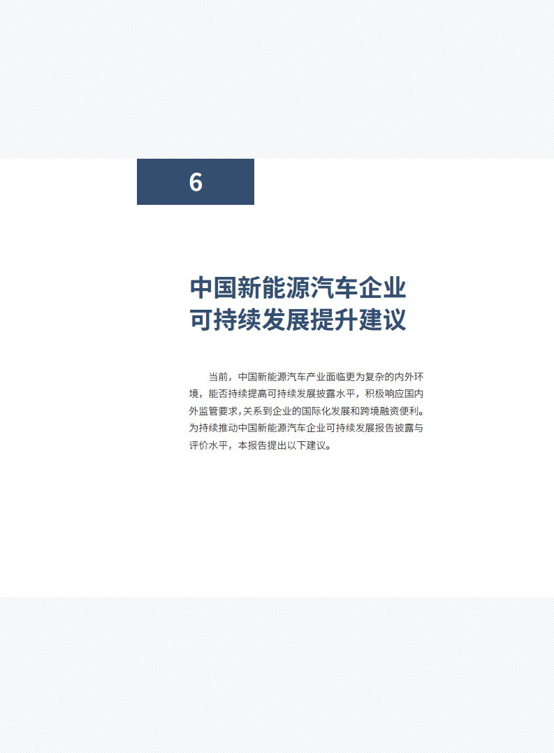 中国新能源汽车产业可持续发展报告2024图片