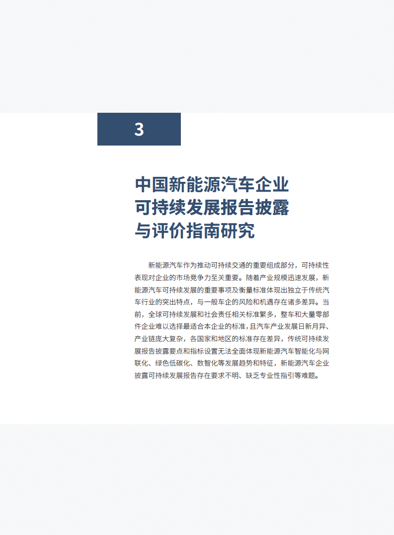 中国新能源汽车产业可持续发展报告2024图片