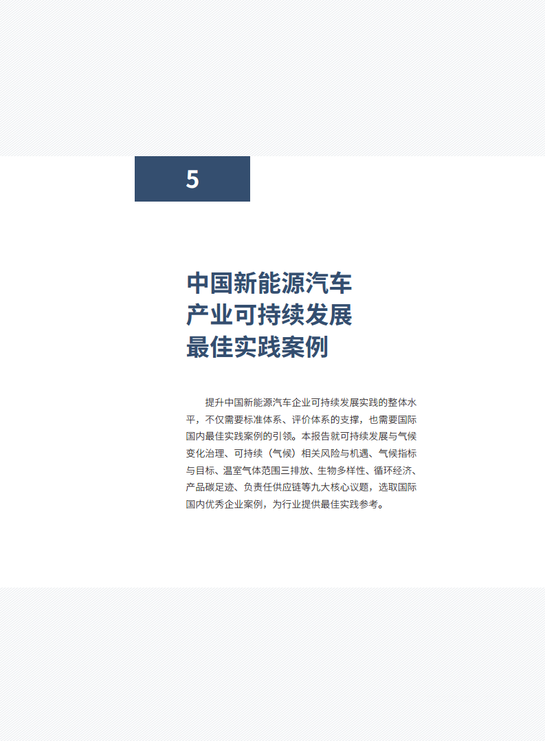 中国新能源汽车产业可持续发展报告2024图片