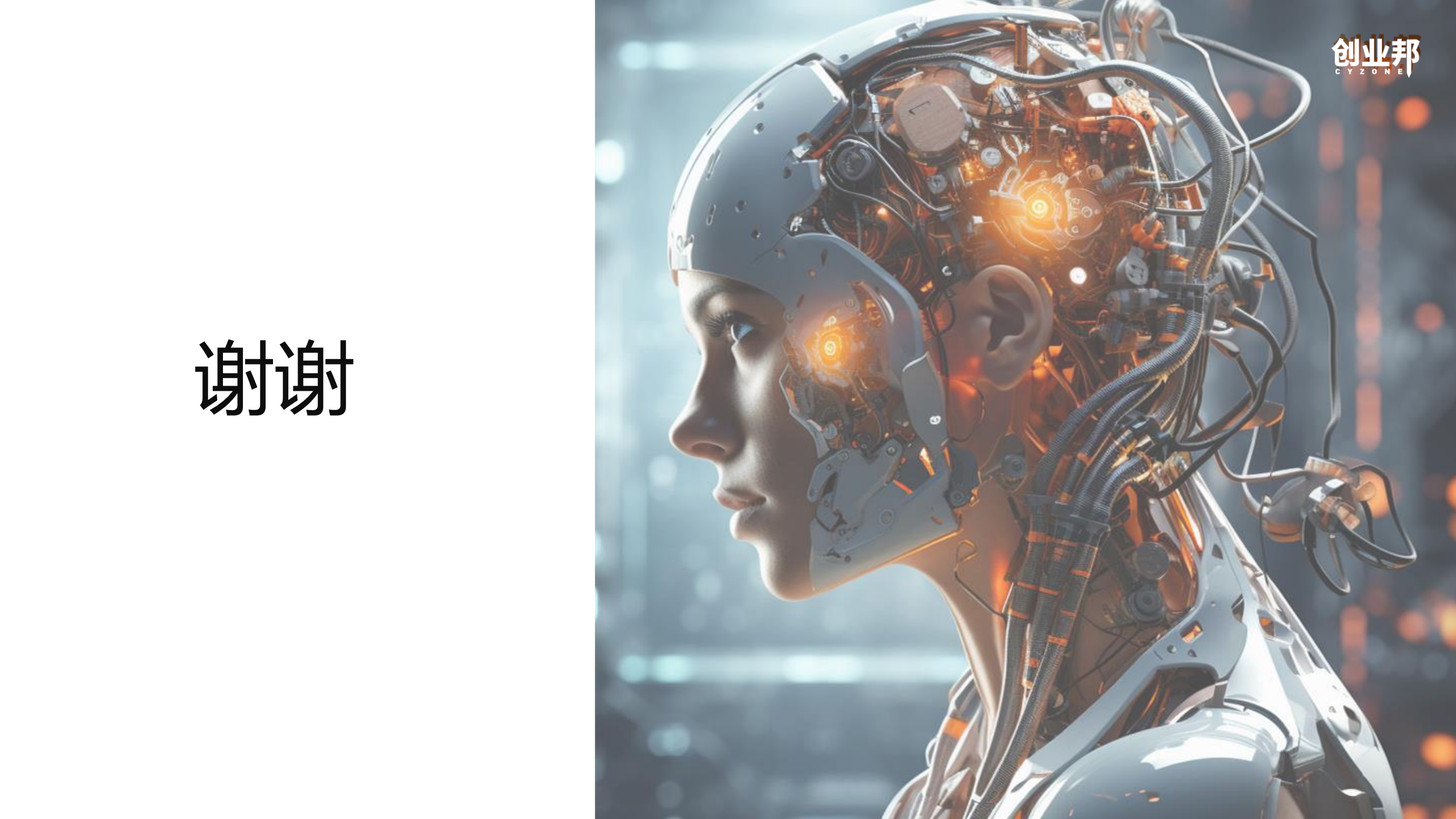 2024人形机器人研究报告图片