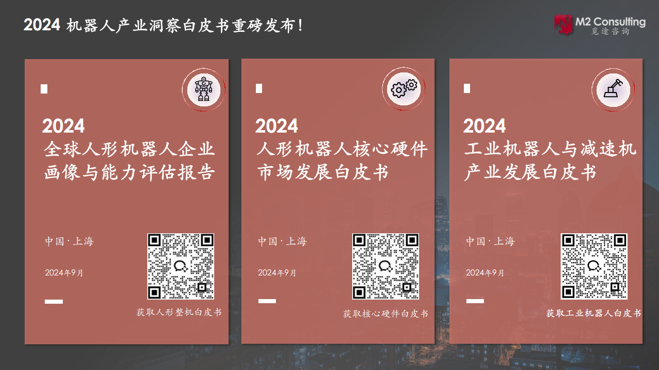 2024全球人形機(jī)器人企業(yè)畫像與能力評(píng)估圖片