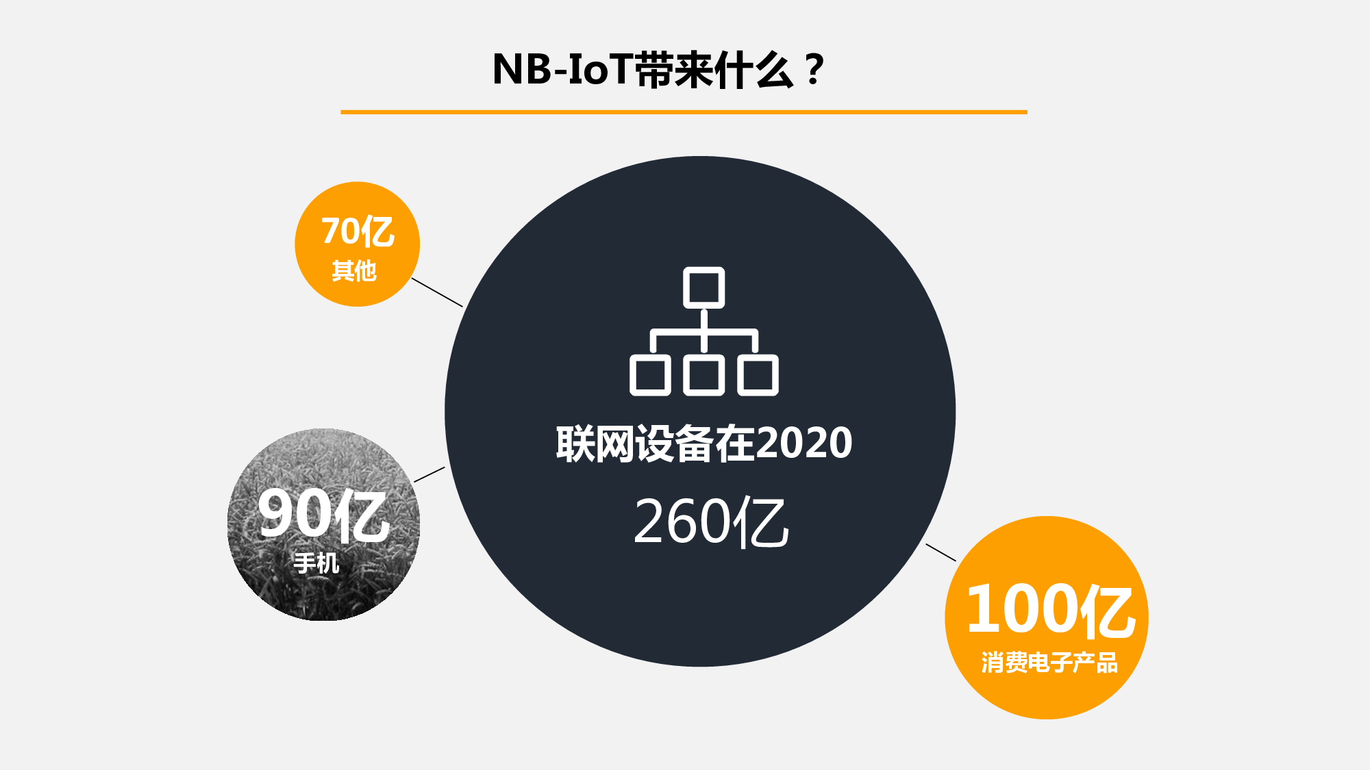 易赛-NB-IoT智能门锁图片