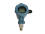 PT-W20无线压力变送器 图片