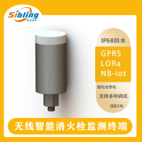 无线压力检测仪 PM200