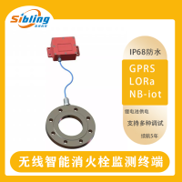 消火栓智能压力计 PM110