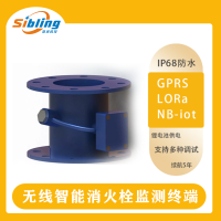 消火栓智能流量计 FH600