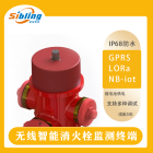 消火栓开阀智能检测仪 FH500