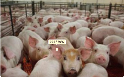 畜牧-畜牧业体温监测系统图片