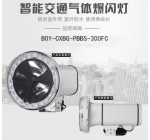BOY-CXBG-PBBS-300FC