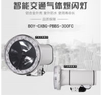 BOY-CXBG-PBBS-300FC