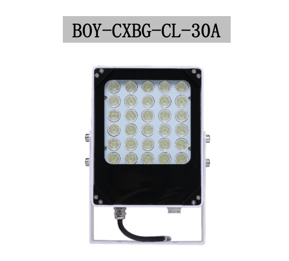 BOY-CXBG-CL-30A图片