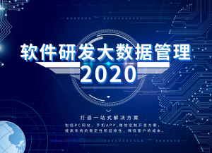 定制开发软件