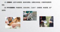 城市宠物管理防丢解决方案