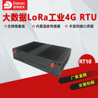 德传技术RT10大数据LoRa工业4G RTU数据采集可编程远程自动化控制