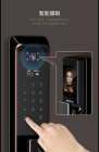 可视监控全自动智能锁-Q6系列