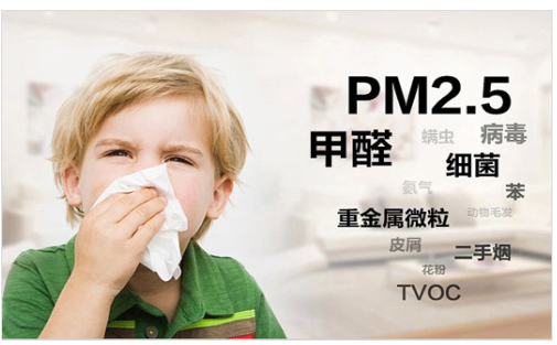 PM2.5环境污染无线远程测控实时监测图片