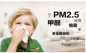 PM2.5环境污染无线远程测控实时监测