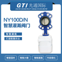 GTi-NY200 LoRaWAN智慧灌溉电控阀门