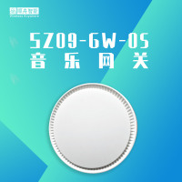 SZ09-GW-05音乐网关-ZigBee网关