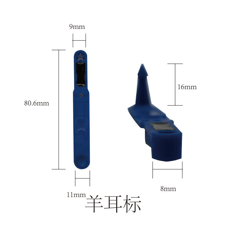 羊耳标图片