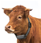 LoRa_GPS 牛羊定位器