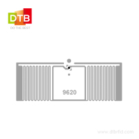 RFID Inlay  9620