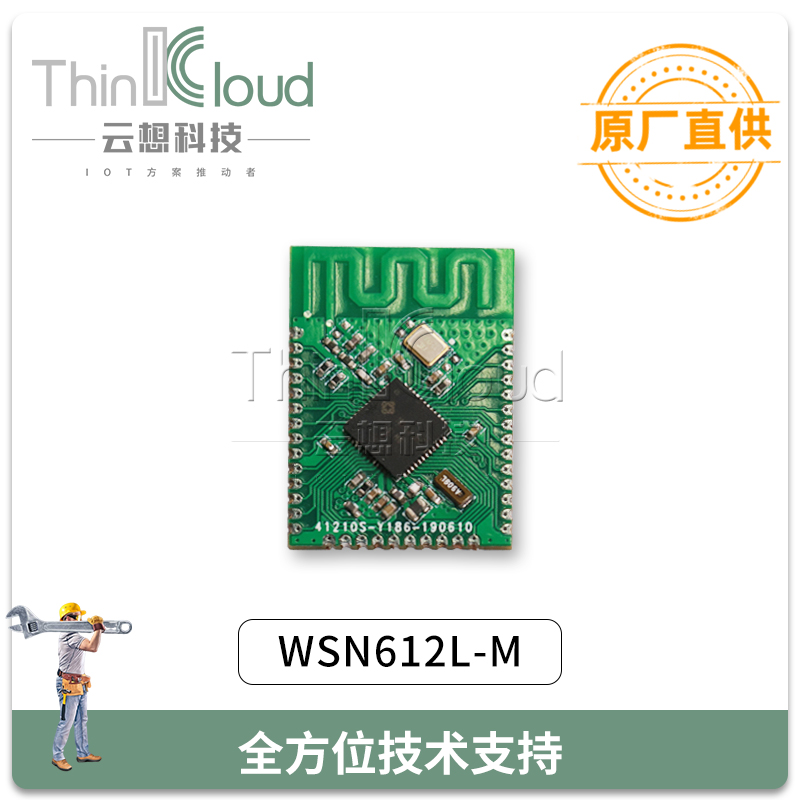 云想/CLOUD THINK厂家直销 WSN612L-M 双频双模蓝牙5.0 MESH组网图片