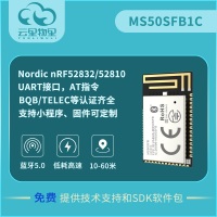 nRF52810蓝牙模块大型生产厂家