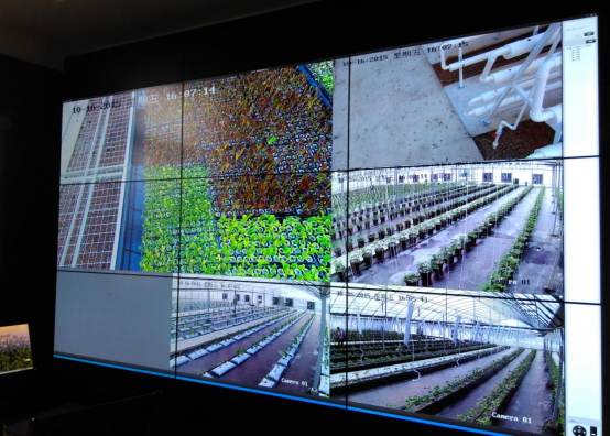 水肥一体化智能灌溉系统图片