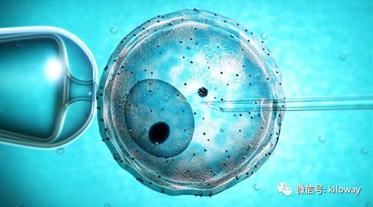 医疗胚胎管理应用图片