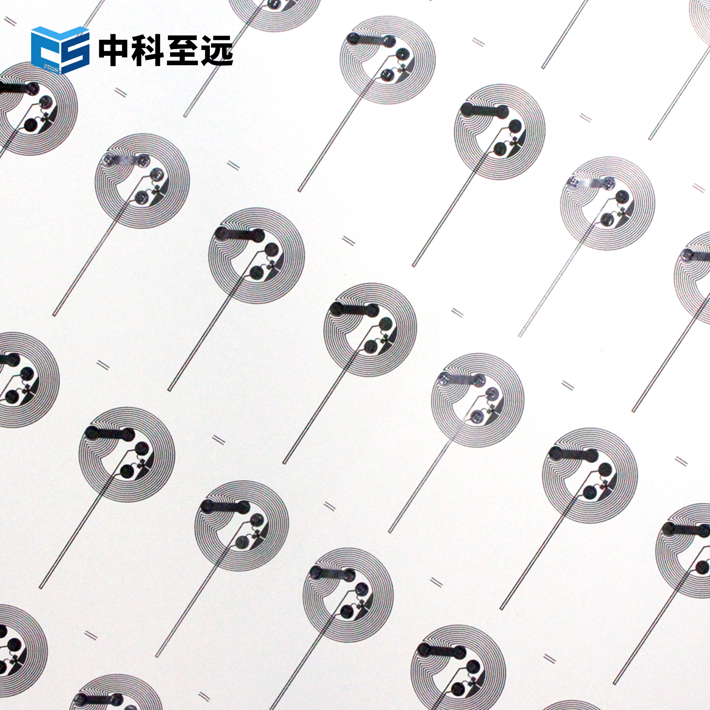 NTAG213 TT 46x21mm Dry Inlay图片