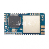 LCM1-1262A LoRaWAN 终端模块