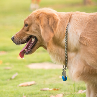 丰江电池-蓝牙追踪产品锂电池解决方案