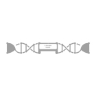 UHF标签 DNA90
