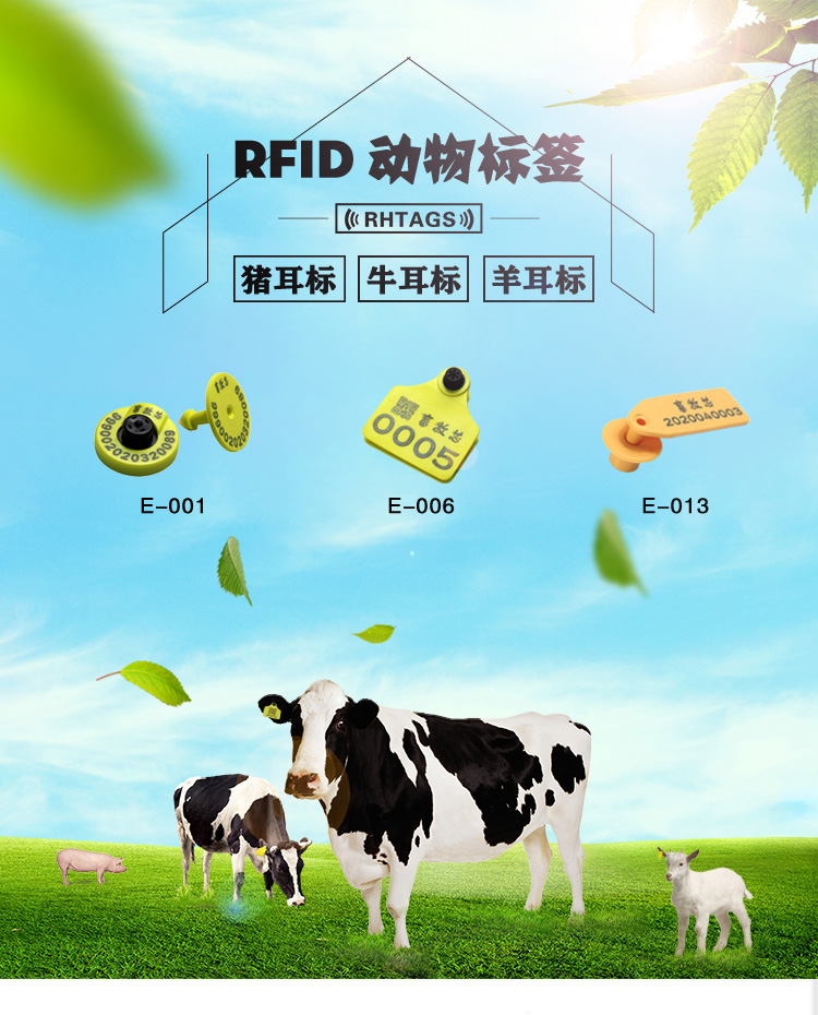 源头厂家定制rfid低频em4305动物耳标fdx B可溯源猪羊牛电子耳标 低频标签芯片产品栏目 Iot库