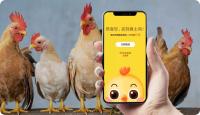 农产品NFC防伪溯源方案—傲飞物联