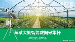 蔬菜大棚智能数据采集杆